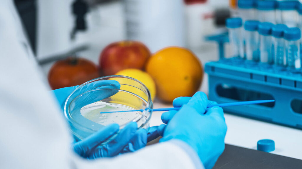 Supermercados, tiendas de Alimentación,  solicitan nuestras Servicios de Control Plagas en Alcobendas